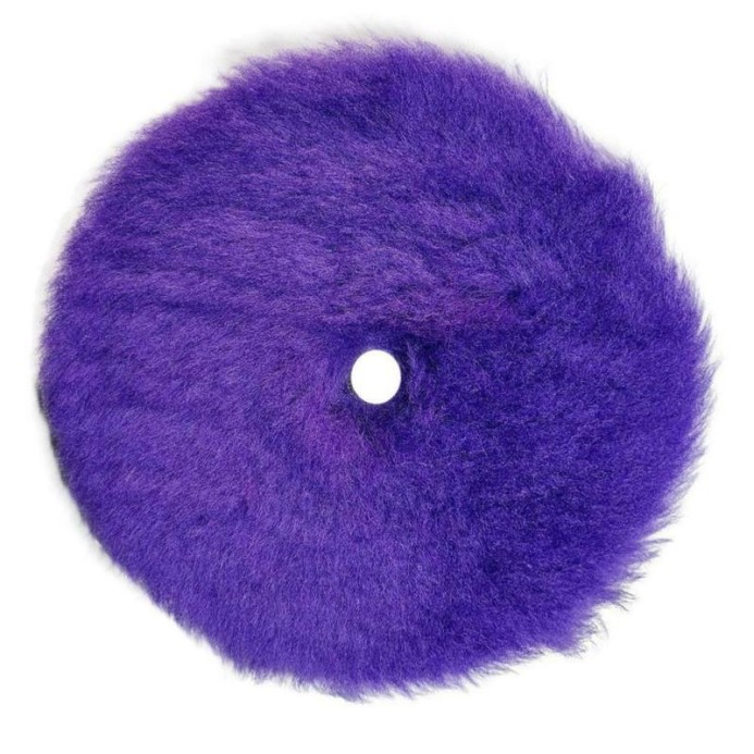 Sleeker Purple Lady.jpg