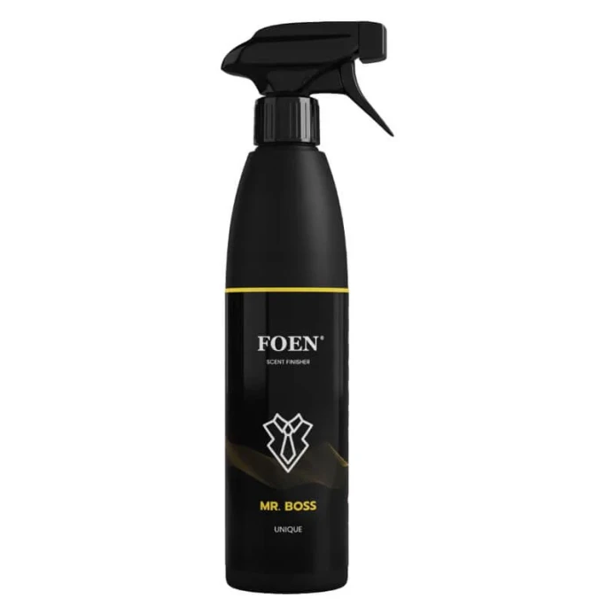 foen mr boss.webp